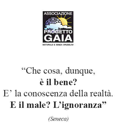 T-shirt girocollo - Seneca - Che cosa, dunque,  il bene...