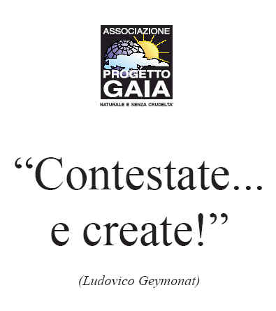 T-shirt girocollo - Geymonat - Contestate... e create!