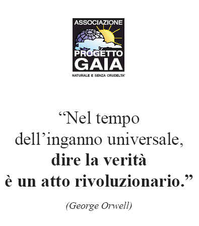 T-shirt girocollo - Orwell - Nel tempo dellinganno universale...