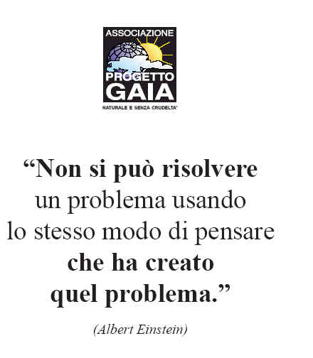 T-shirt girocollo - Einstrein - Non si pu risolvere...